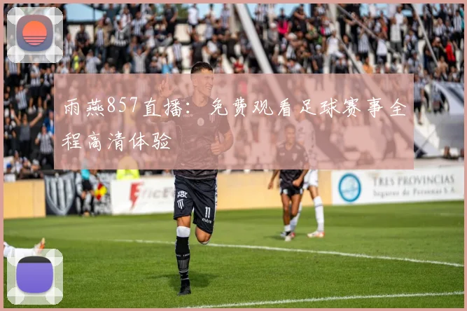 雨燕857直播：免费观看足球赛事全程高清体验